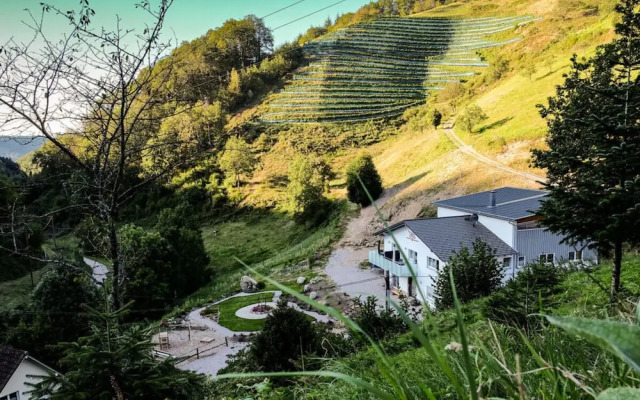 Nice Apartment in Oberkirch