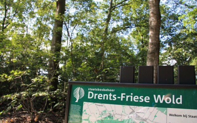 Restyled House with Fire Place near Drents-Friese Wold