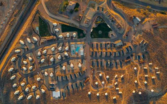 Zion Wildflower, BW Premier Collection