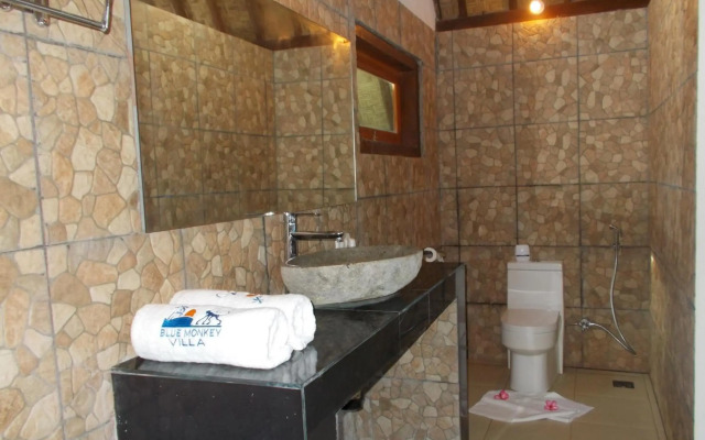 Blue Monkey Villas Resort & Ocean View