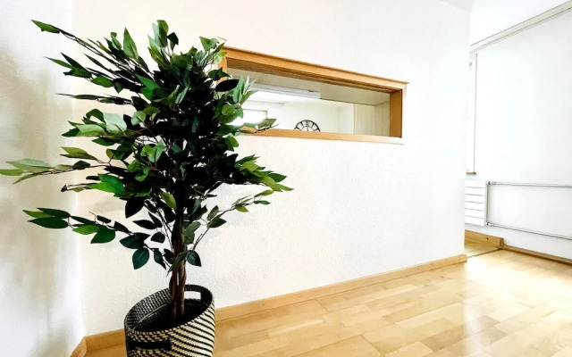 Beautiful Old Building Apartment In The Center