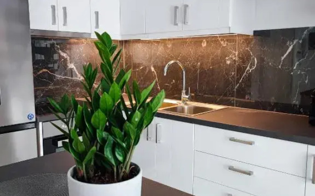 Freesia Loft Apartment