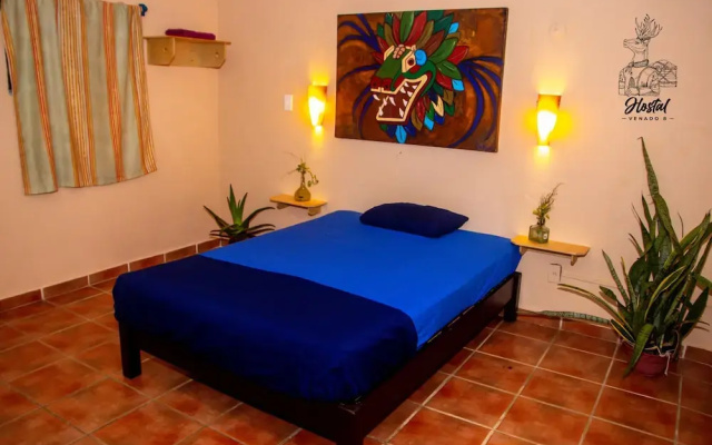 Venado 8 - Hotel in Канкун - Photo 4