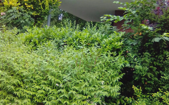 Raben Steinfeld Forststraße 3 Residenzpark