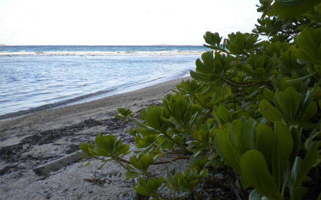 Virgin Islands Campground