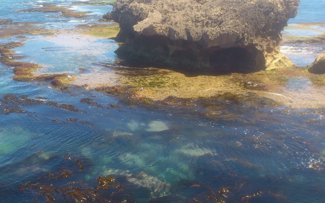 Warrnambool Holiday Accommodation
