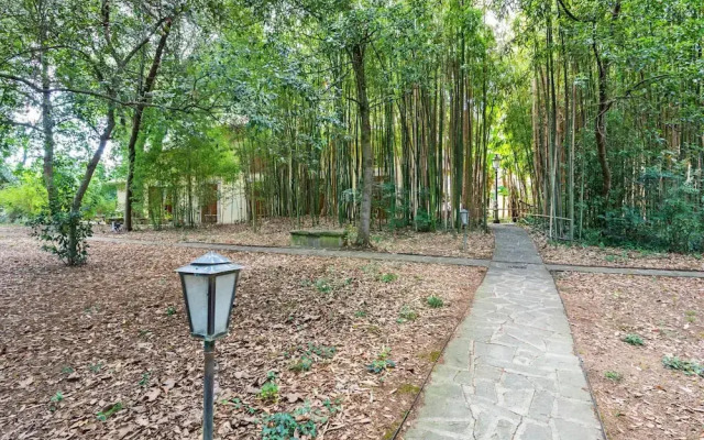 Holiday Home in Umbria With Pool