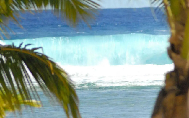 Magic Reef Bungalows