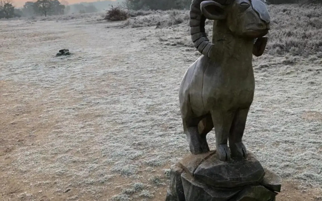 Vakantiehuisje Specht