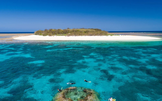 Wilson Island