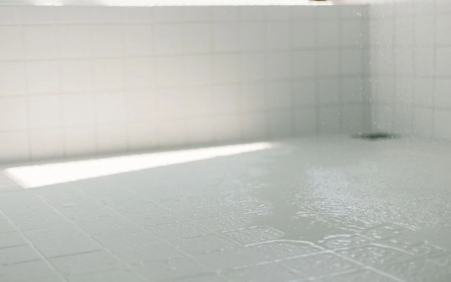 Blue Steak Wonder Senaha