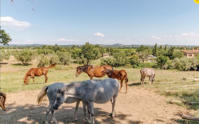 Agriturismo Il Cavone