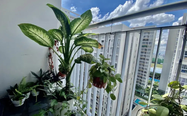 Tony Apartment Scenic Valley