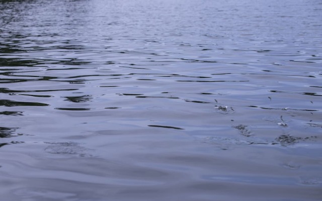 Serendipity Lake - Hikkaduwa