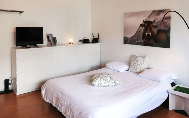 Bouleaux K4 Nendaz in Nendaz