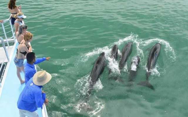 Makanda by The Sea Hotel Adults Only