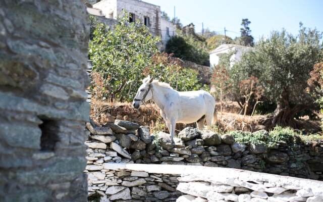 Andros Maisonettes
