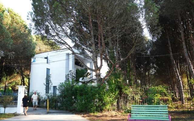 The Beachfront Villa