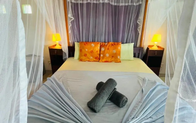 Bougain Villa Sea View