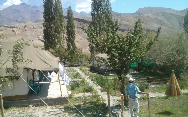 Kargil Tourist Camp