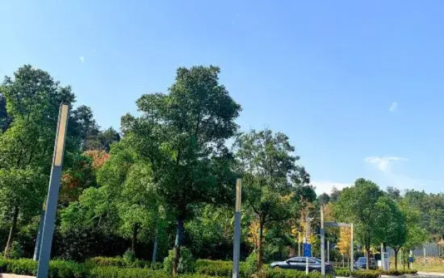Qiangrong International Hotel