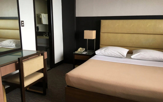 Sunny Bay Suites