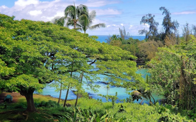 Mauna Loa Shores #405 1 Bedroom Condo By Redawning