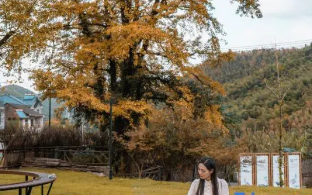 Anji Ginkgo House