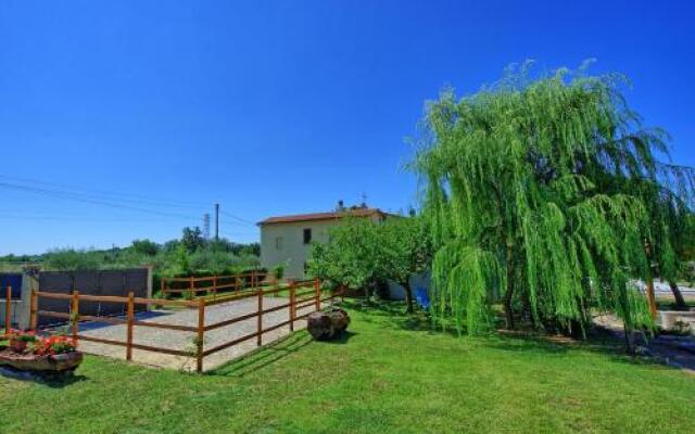 Casa Violina