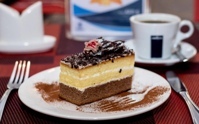Al Maha Regency Hotel