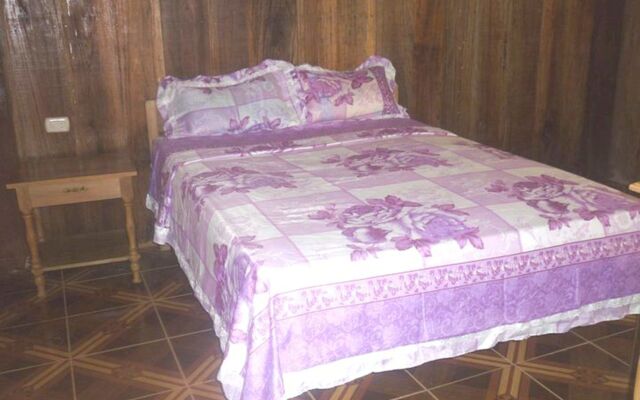 Amazon Eco Tours & Lodge