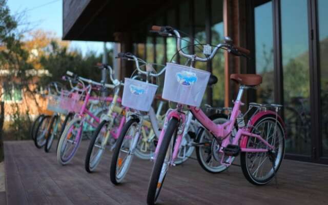 Chuncheon Beganwho Pension