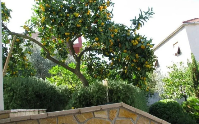 Apartments Bareta