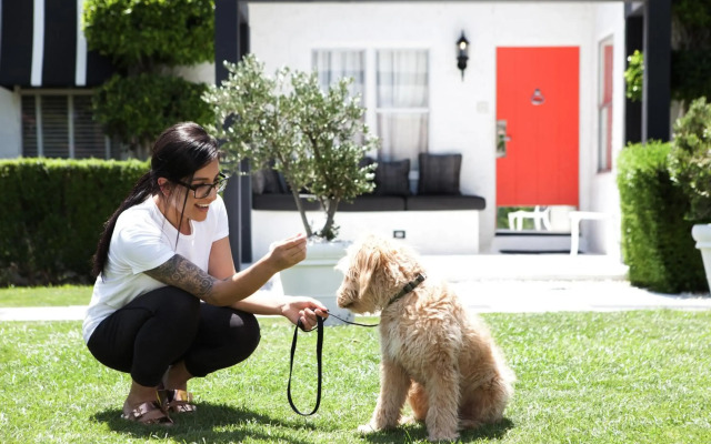 Avalon Hotel & Bungalows Palm Springs, a Member of Design Hotels