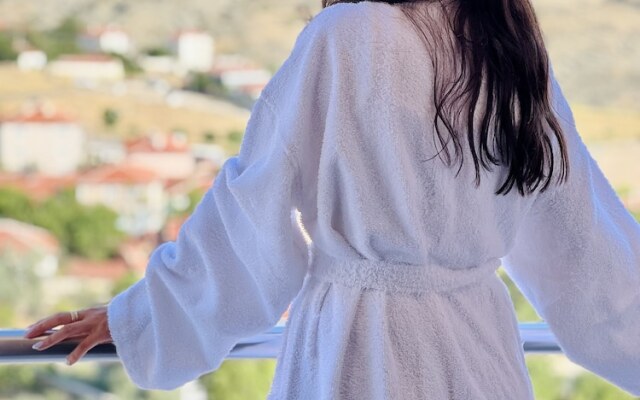 Nema Beyzade Termal Otel