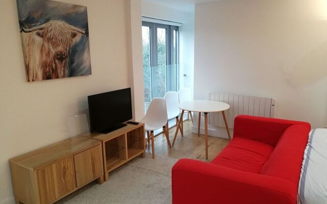 Awesome City Apartment