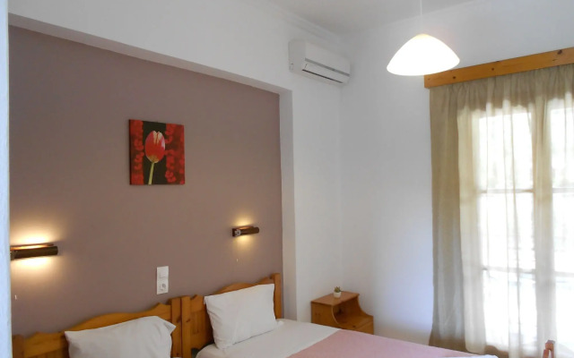 Anemona Studios