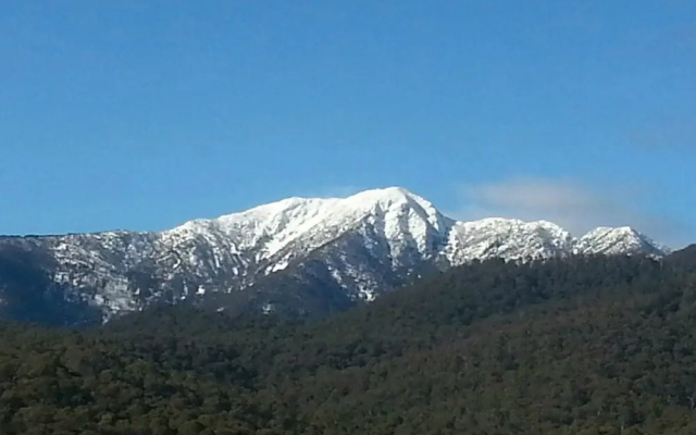 View Mount