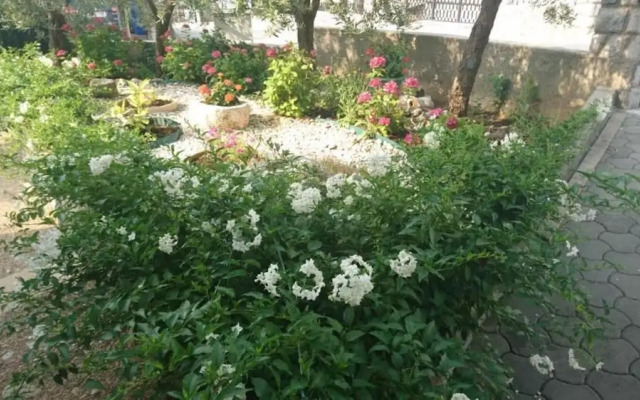 Dorica - Flower Garden - A1