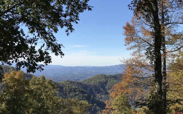 Wild Cat - 1 Br Cabin