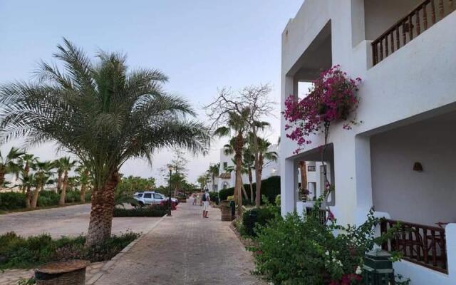 Best studio in Delta Sharm