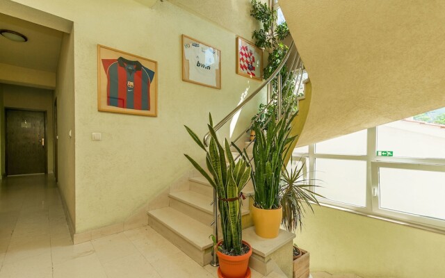 Apartments and Rooms Mate