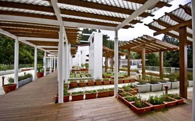 Alishan House - The Modern House