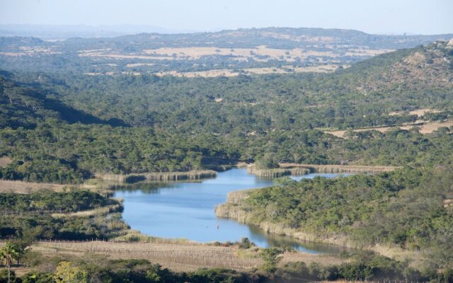 Bushman Rock Safaris