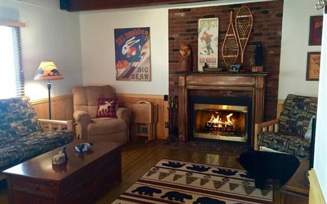 A Sleepy Bear's Hideaway