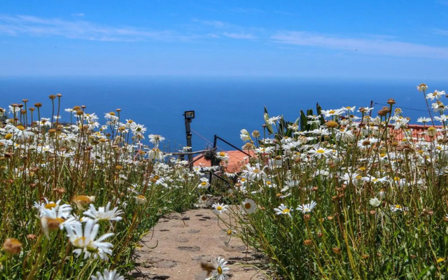 Casas Tipicas Candelaria Tabua
