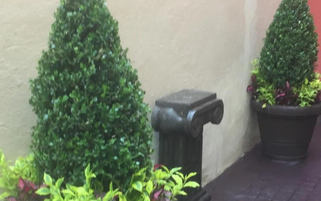 Residence Las Trojes Cdmx