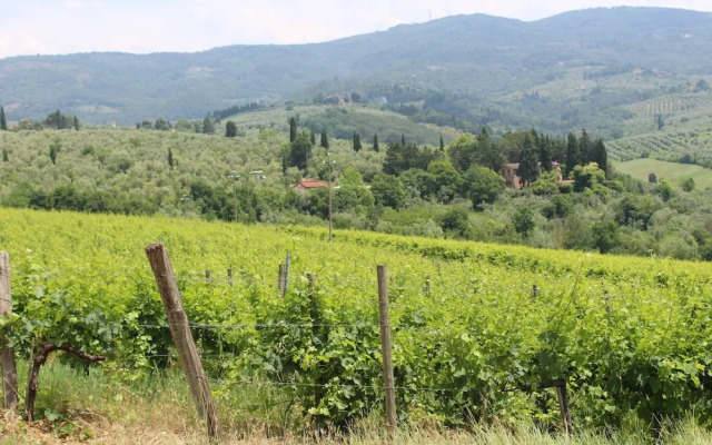 La Cascianella