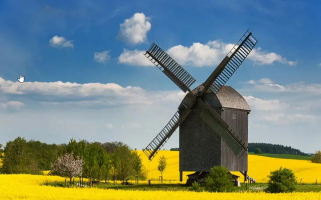 Ferienidyll Alte Eichen