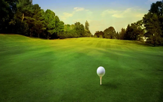 Venus Apartment 45 People